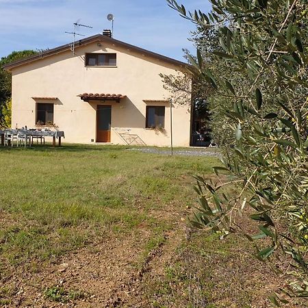 La Ripa Del Drago Villa Bibbona Exteriör bild